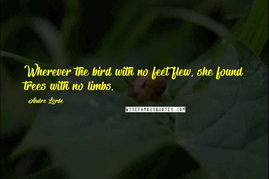 Audre Lorde Quotes: Wherever the bird with no feet flew, she found trees with no limbs.