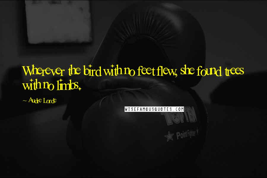 Audre Lorde Quotes: Wherever the bird with no feet flew, she found trees with no limbs.