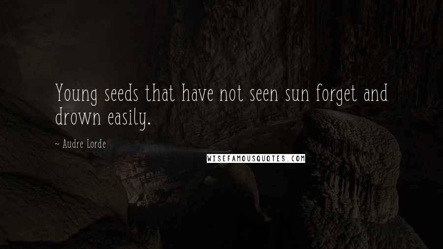 Audre Lorde Quotes: Young seeds that have not seen sun forget and drown easily.