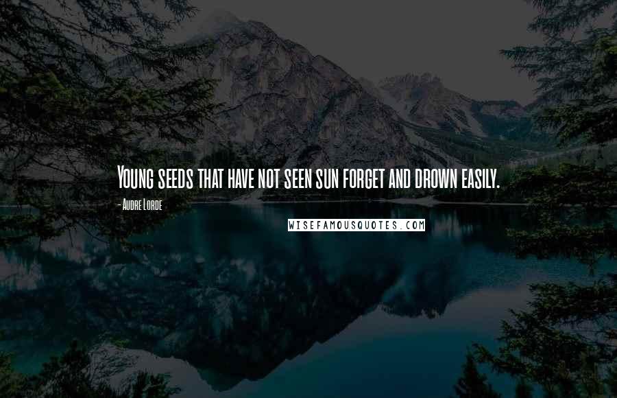 Audre Lorde Quotes: Young seeds that have not seen sun forget and drown easily.