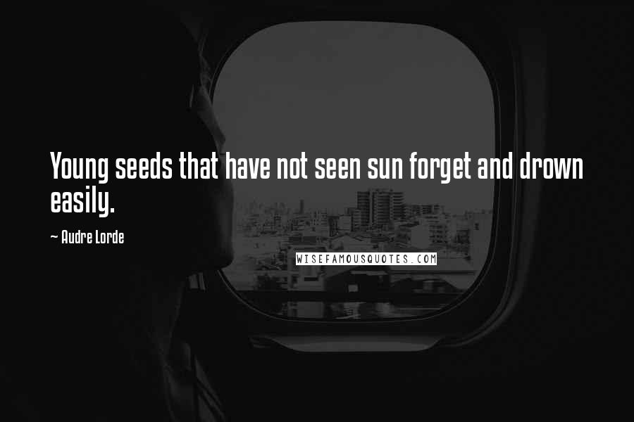 Audre Lorde Quotes: Young seeds that have not seen sun forget and drown easily.