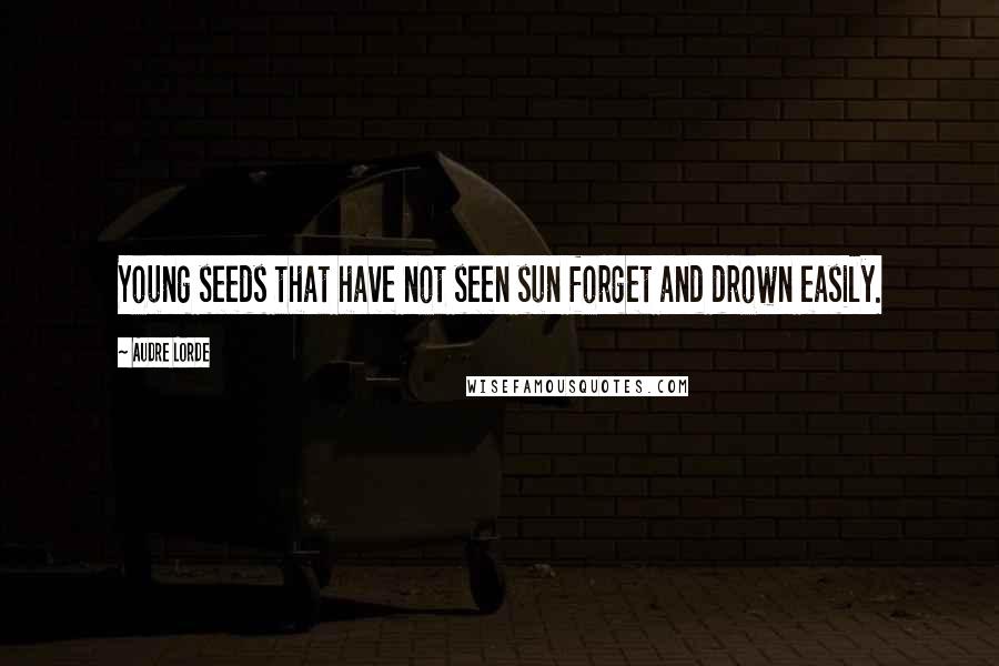 Audre Lorde Quotes: Young seeds that have not seen sun forget and drown easily.