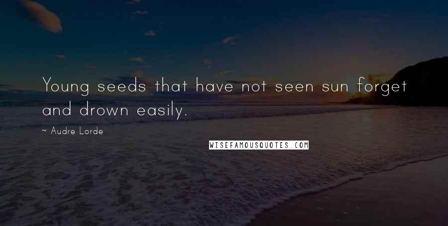 Audre Lorde Quotes: Young seeds that have not seen sun forget and drown easily.