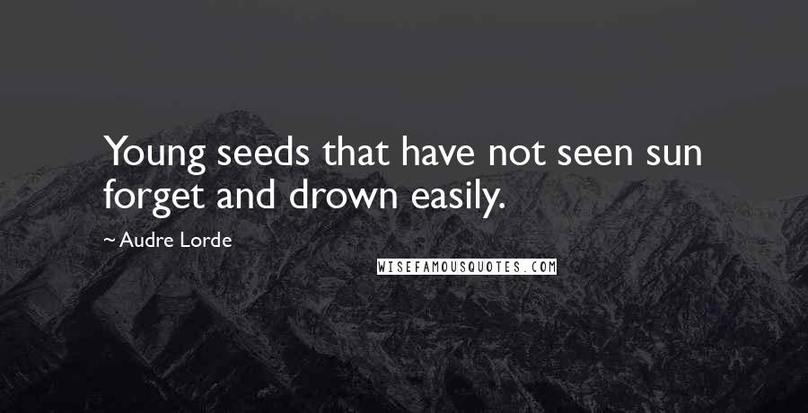 Audre Lorde Quotes: Young seeds that have not seen sun forget and drown easily.