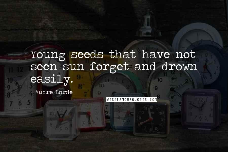 Audre Lorde Quotes: Young seeds that have not seen sun forget and drown easily.