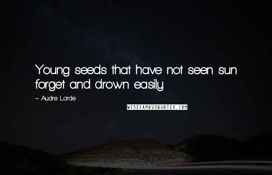 Audre Lorde Quotes: Young seeds that have not seen sun forget and drown easily.