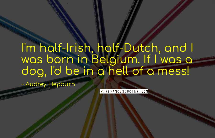 Audrey Hepburn Quotes: I'm half-Irish, half-Dutch, and I was born in Belgium. If I was a dog, I'd be in a hell of a mess!