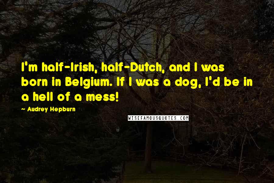 Audrey Hepburn Quotes: I'm half-Irish, half-Dutch, and I was born in Belgium. If I was a dog, I'd be in a hell of a mess!