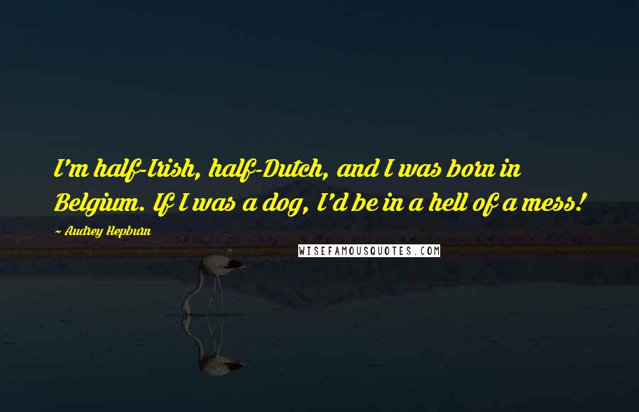 Audrey Hepburn Quotes: I'm half-Irish, half-Dutch, and I was born in Belgium. If I was a dog, I'd be in a hell of a mess!