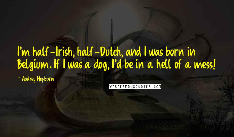 Audrey Hepburn Quotes: I'm half-Irish, half-Dutch, and I was born in Belgium. If I was a dog, I'd be in a hell of a mess!