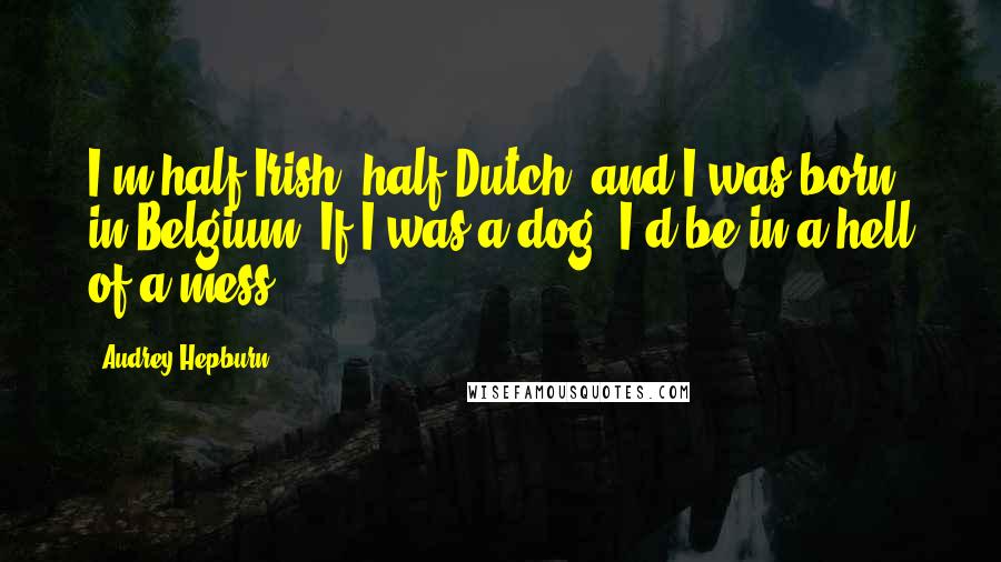 Audrey Hepburn Quotes: I'm half-Irish, half-Dutch, and I was born in Belgium. If I was a dog, I'd be in a hell of a mess!