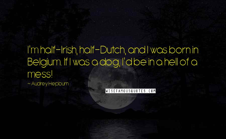 Audrey Hepburn Quotes: I'm half-Irish, half-Dutch, and I was born in Belgium. If I was a dog, I'd be in a hell of a mess!