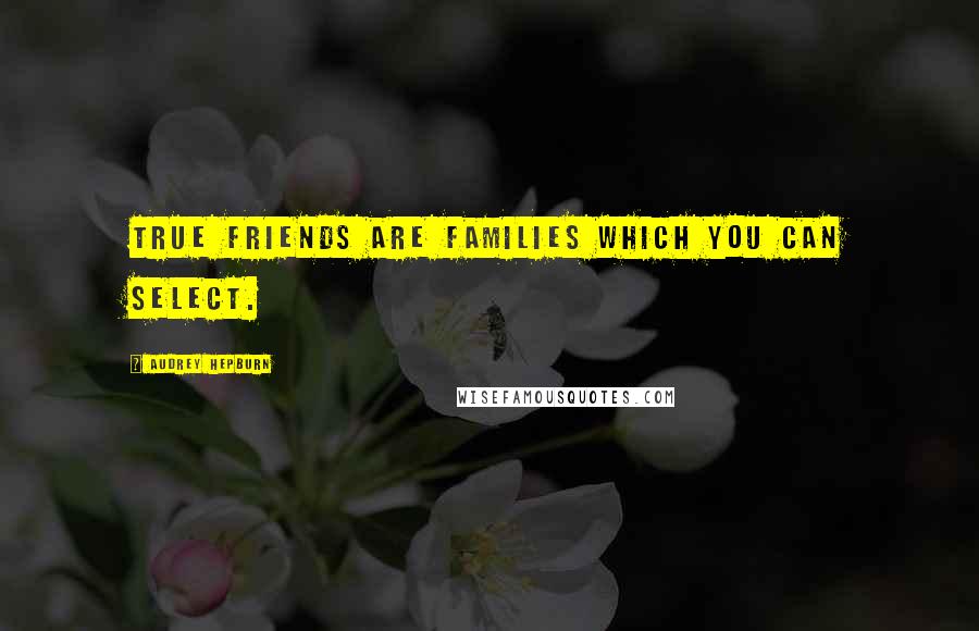 Audrey Hepburn Quotes: True friends are families which you can select.