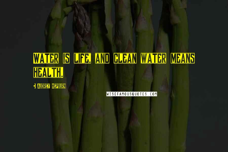 Audrey Hepburn Quotes: Water is life, and clean water means health.