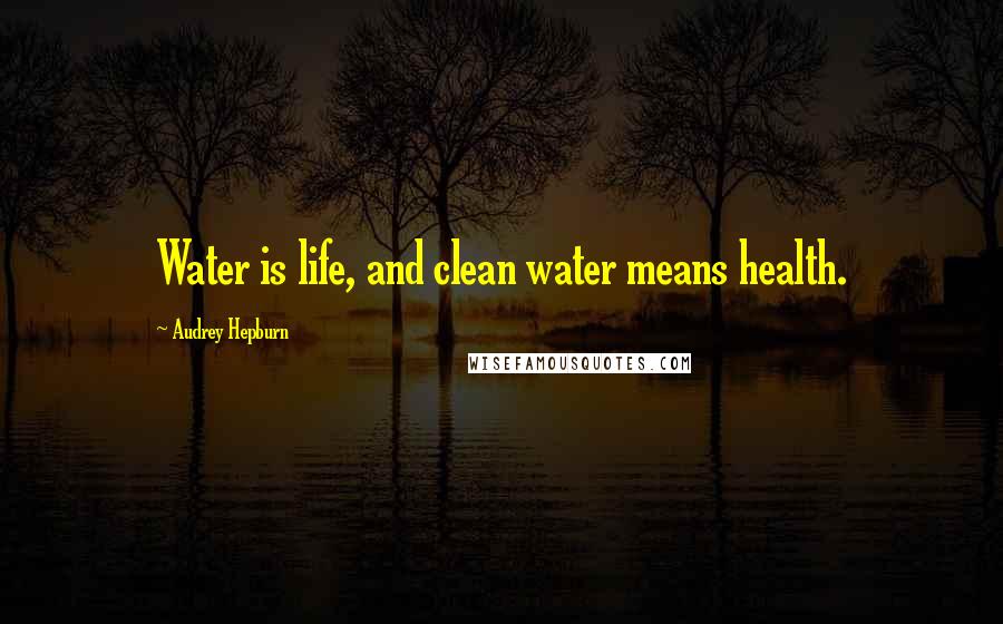 Audrey Hepburn Quotes: Water is life, and clean water means health.