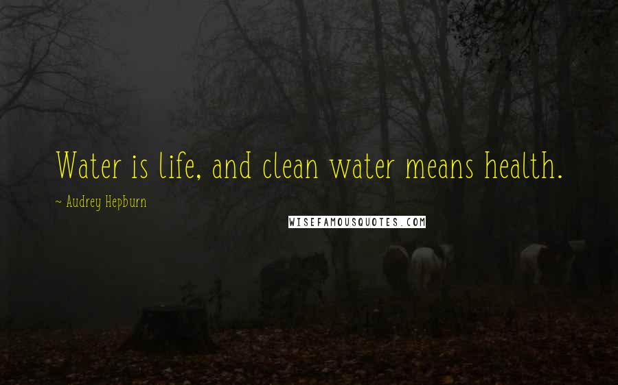 Audrey Hepburn Quotes: Water is life, and clean water means health.