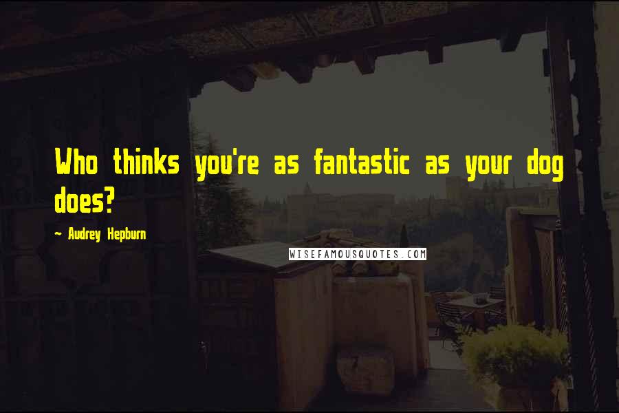 Audrey Hepburn Quotes: Who thinks you're as fantastic as your dog does?