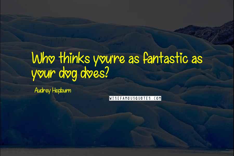 Audrey Hepburn Quotes: Who thinks you're as fantastic as your dog does?