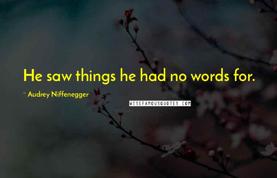 Audrey Niffenegger Quotes: He saw things he had no words for.