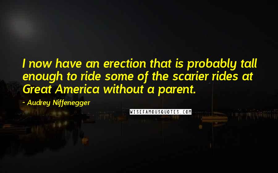 Audrey Niffenegger Quotes: I now have an erection that is probably tall enough to ride some of the scarier rides at Great America without a parent.