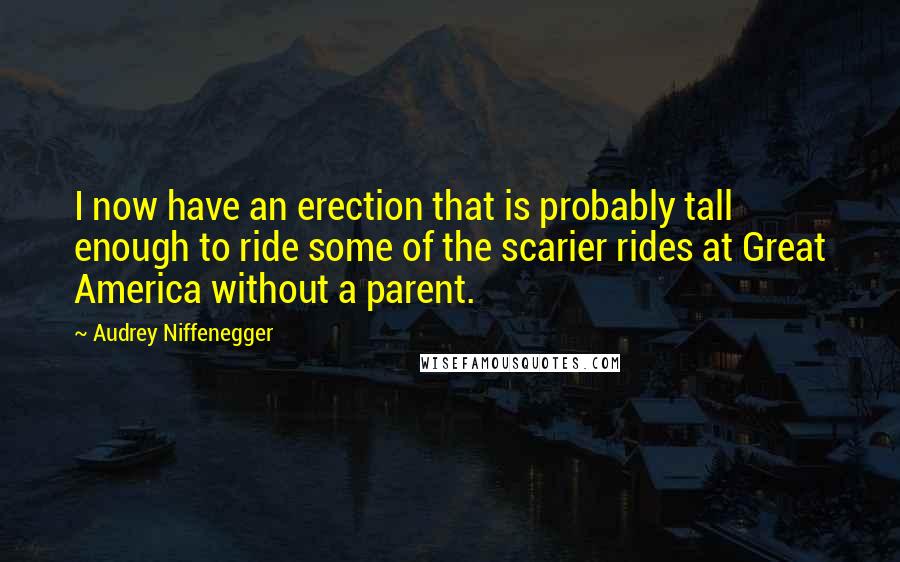 Audrey Niffenegger Quotes: I now have an erection that is probably tall enough to ride some of the scarier rides at Great America without a parent.