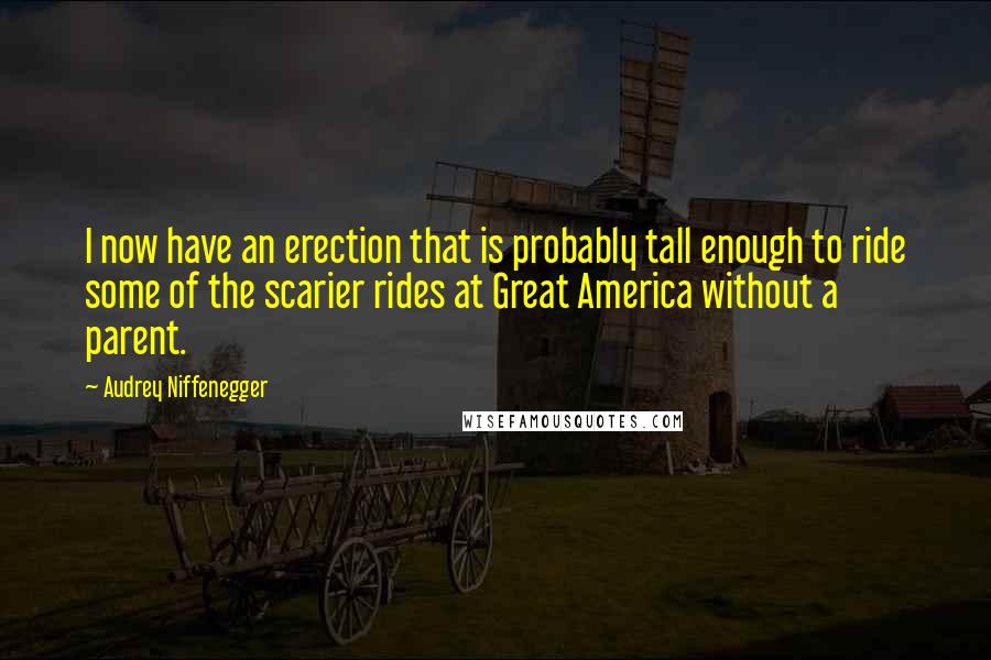 Audrey Niffenegger Quotes: I now have an erection that is probably tall enough to ride some of the scarier rides at Great America without a parent.