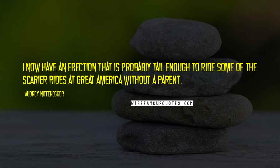 Audrey Niffenegger Quotes: I now have an erection that is probably tall enough to ride some of the scarier rides at Great America without a parent.