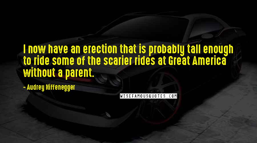 Audrey Niffenegger Quotes: I now have an erection that is probably tall enough to ride some of the scarier rides at Great America without a parent.