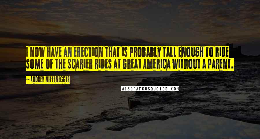 Audrey Niffenegger Quotes: I now have an erection that is probably tall enough to ride some of the scarier rides at Great America without a parent.