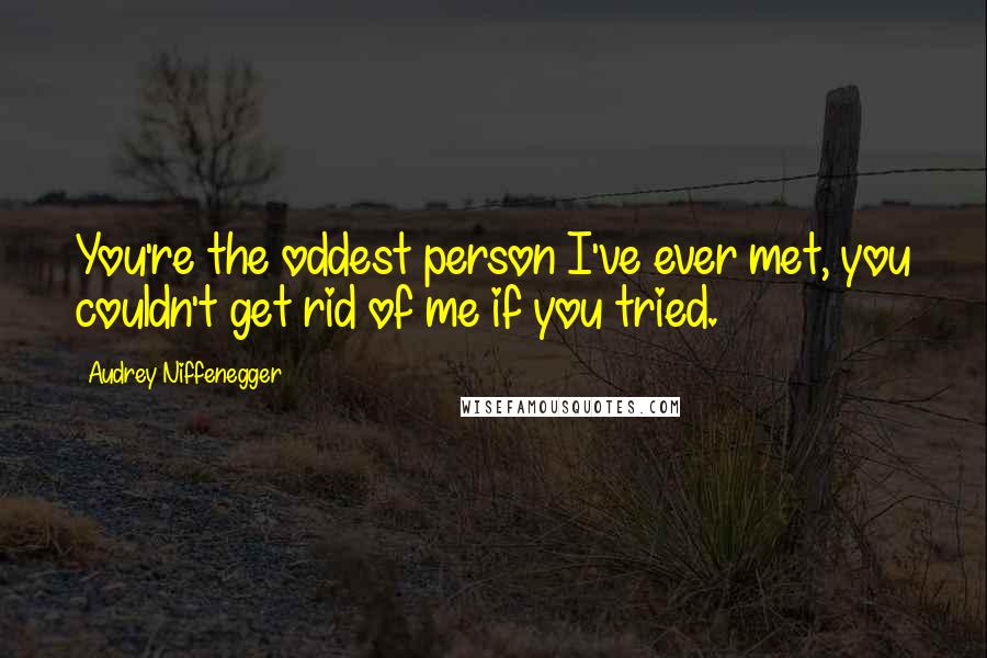 Audrey Niffenegger Quotes: You're the oddest person I've ever met, you couldn't get rid of me if you tried.