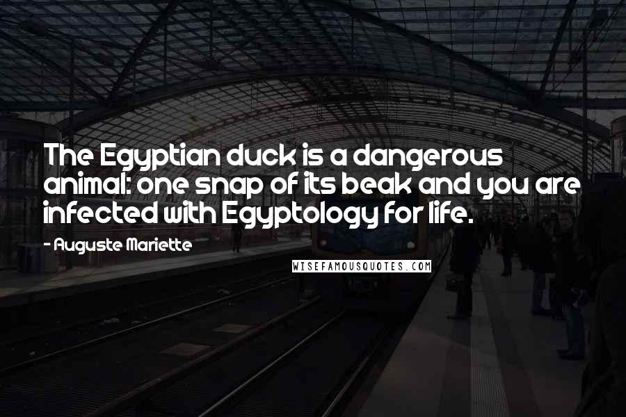 Auguste Mariette Quotes: The Egyptian duck is a dangerous animal: one snap of its beak and you are infected with Egyptology for life.