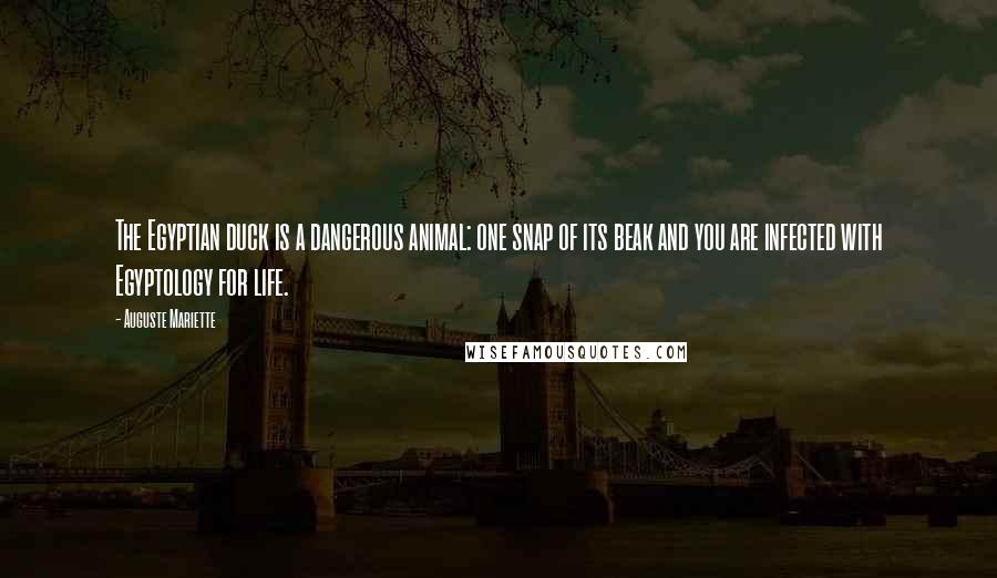 Auguste Mariette Quotes: The Egyptian duck is a dangerous animal: one snap of its beak and you are infected with Egyptology for life.