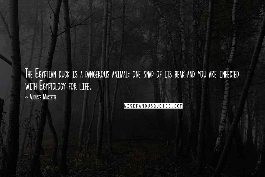 Auguste Mariette Quotes: The Egyptian duck is a dangerous animal: one snap of its beak and you are infected with Egyptology for life.