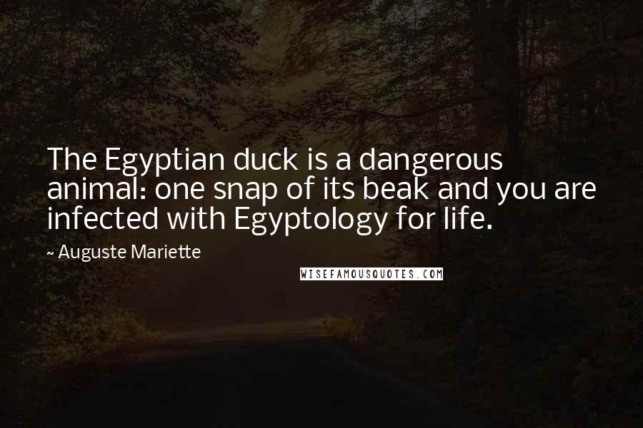 Auguste Mariette Quotes: The Egyptian duck is a dangerous animal: one snap of its beak and you are infected with Egyptology for life.