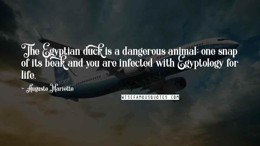 Auguste Mariette Quotes: The Egyptian duck is a dangerous animal: one snap of its beak and you are infected with Egyptology for life.