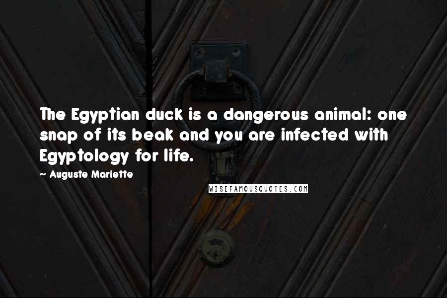 Auguste Mariette Quotes: The Egyptian duck is a dangerous animal: one snap of its beak and you are infected with Egyptology for life.