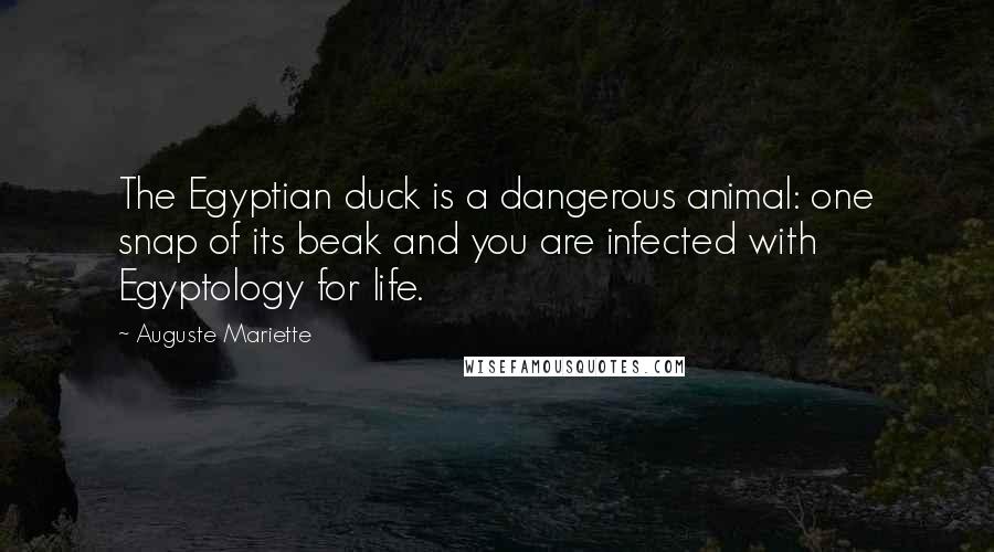 Auguste Mariette Quotes: The Egyptian duck is a dangerous animal: one snap of its beak and you are infected with Egyptology for life.