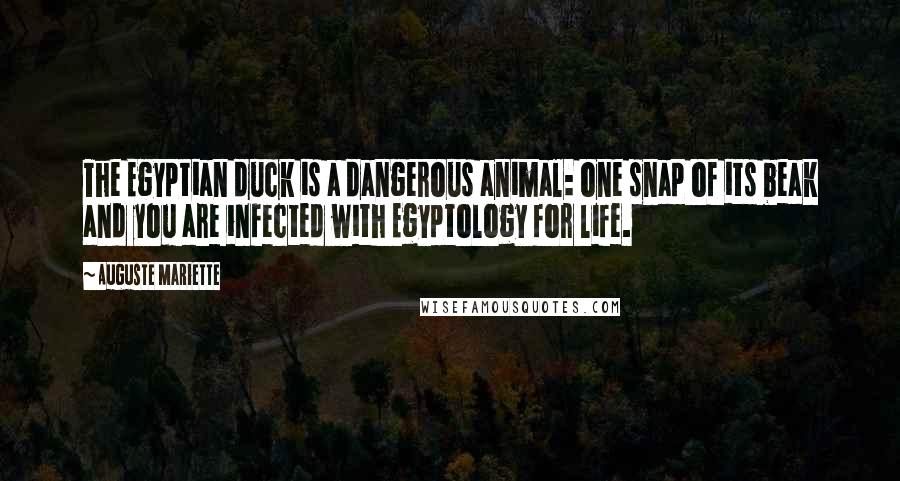 Auguste Mariette Quotes: The Egyptian duck is a dangerous animal: one snap of its beak and you are infected with Egyptology for life.