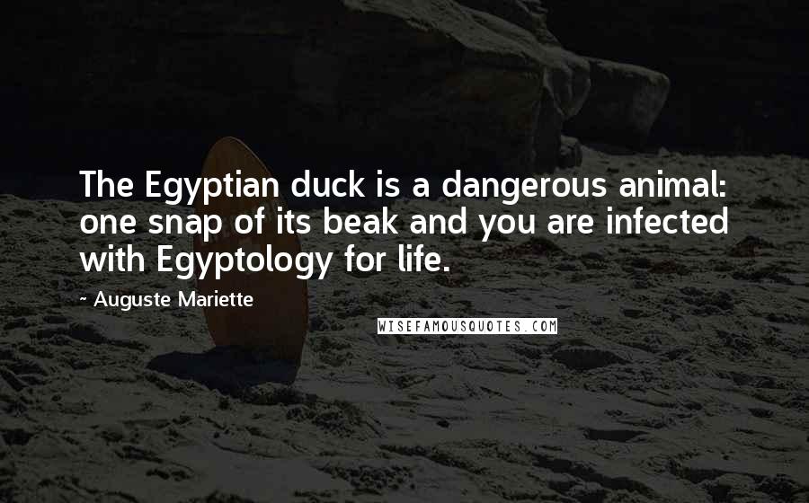 Auguste Mariette Quotes: The Egyptian duck is a dangerous animal: one snap of its beak and you are infected with Egyptology for life.