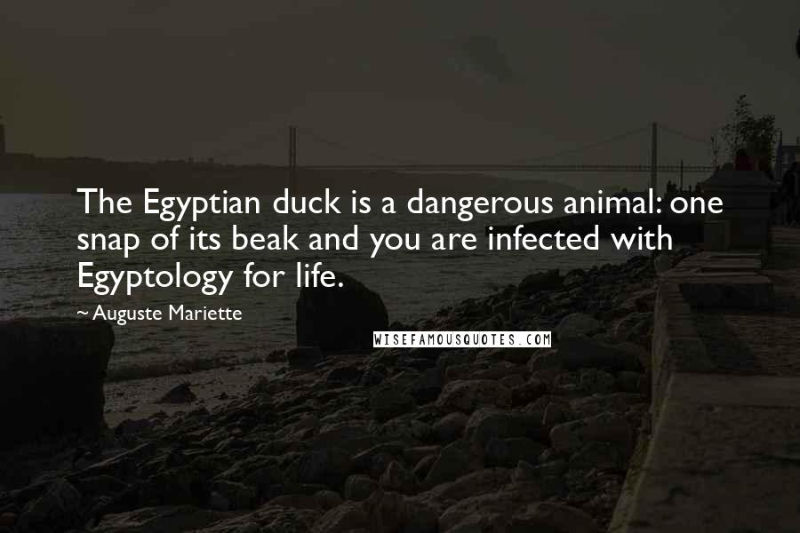 Auguste Mariette Quotes: The Egyptian duck is a dangerous animal: one snap of its beak and you are infected with Egyptology for life.