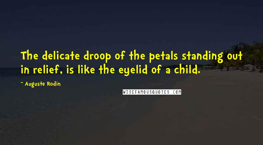 Auguste Rodin Quotes: The delicate droop of the petals standing out in relief, is like the eyelid of a child.