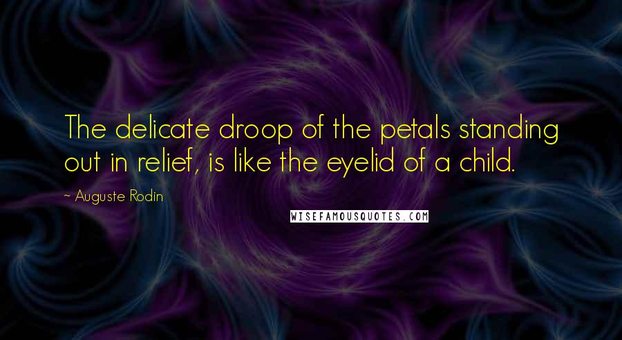 Auguste Rodin Quotes: The delicate droop of the petals standing out in relief, is like the eyelid of a child.