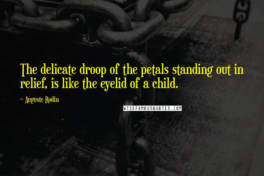 Auguste Rodin Quotes: The delicate droop of the petals standing out in relief, is like the eyelid of a child.