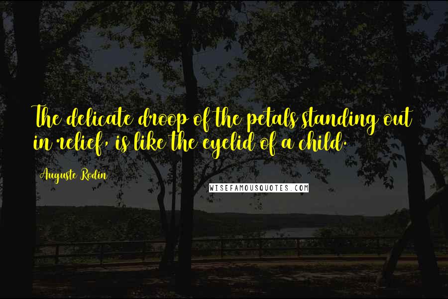 Auguste Rodin Quotes: The delicate droop of the petals standing out in relief, is like the eyelid of a child.