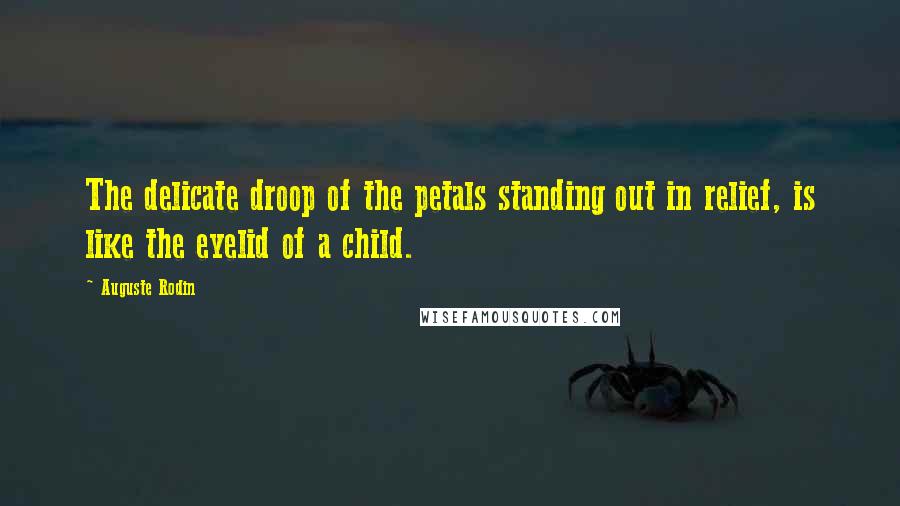 Auguste Rodin Quotes: The delicate droop of the petals standing out in relief, is like the eyelid of a child.