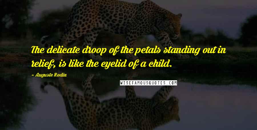 Auguste Rodin Quotes: The delicate droop of the petals standing out in relief, is like the eyelid of a child.