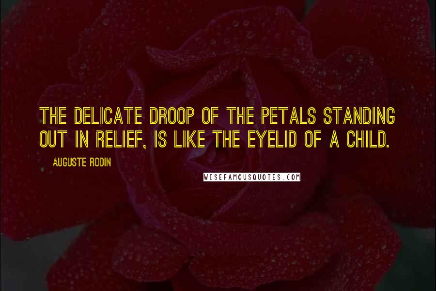 Auguste Rodin Quotes: The delicate droop of the petals standing out in relief, is like the eyelid of a child.