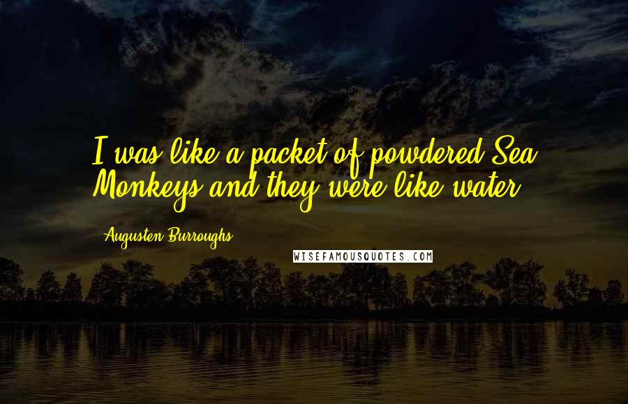 Augusten Burroughs Quotes: I was like a packet of powdered Sea Monkeys and they were like water.