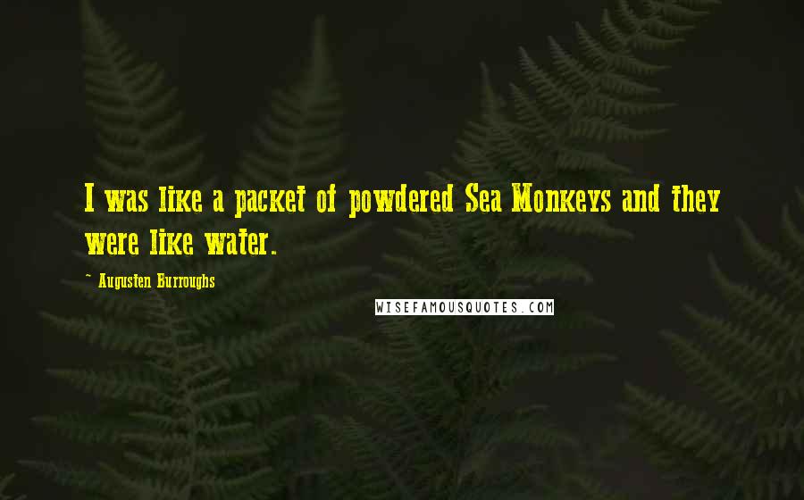 Augusten Burroughs Quotes: I was like a packet of powdered Sea Monkeys and they were like water.