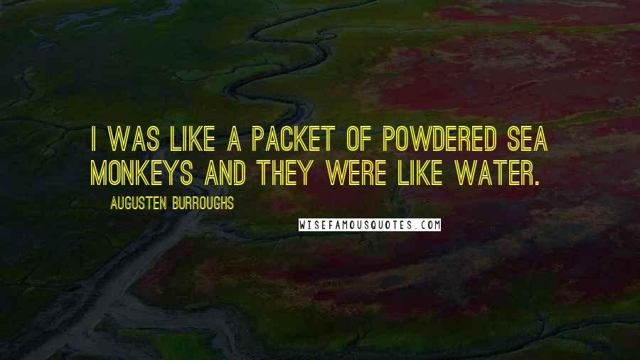 Augusten Burroughs Quotes: I was like a packet of powdered Sea Monkeys and they were like water.